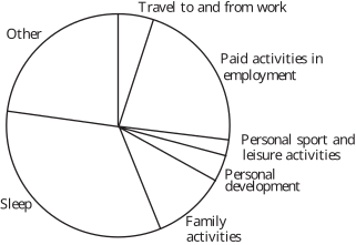 A pie chart illustrating the proportion of time spent on various activities, including sleep, family activities, and employment.