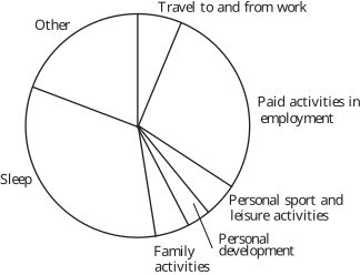 A pie chart illustrating the proportion of time spent on various activities, including sleep, travel, and employment.