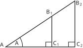 A right-angled triangle is shown with an angle labeled A, and altitudes are drawn from the opposite vertex to the base, creating two smaller right triangles.